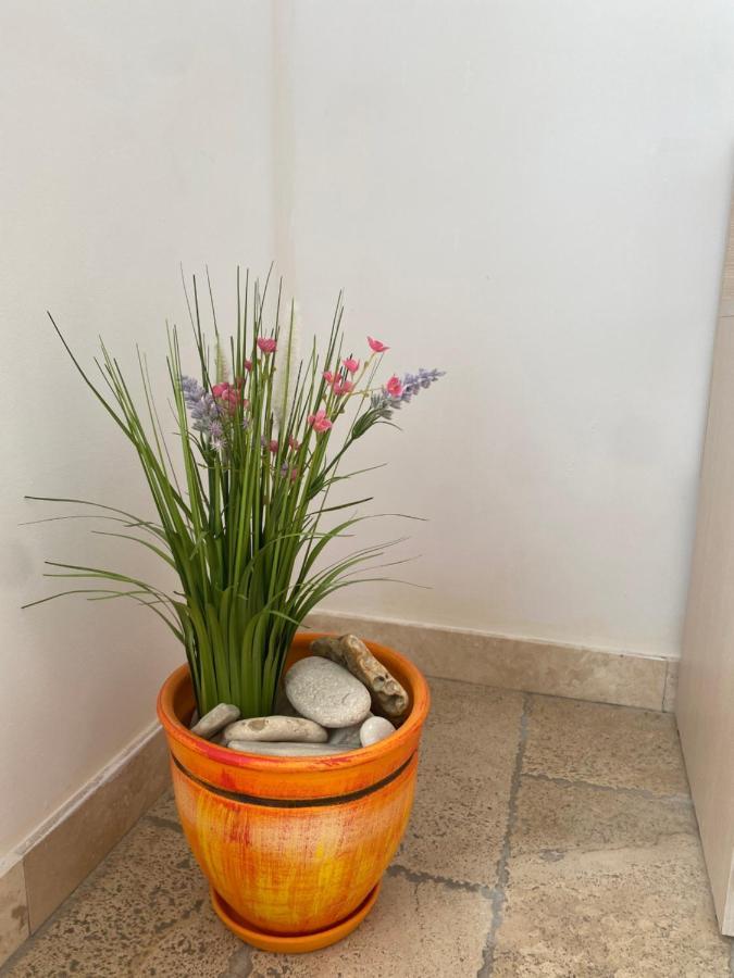 59 Kaliakria Seaview Luxury Apartment Topola Buitenkant foto