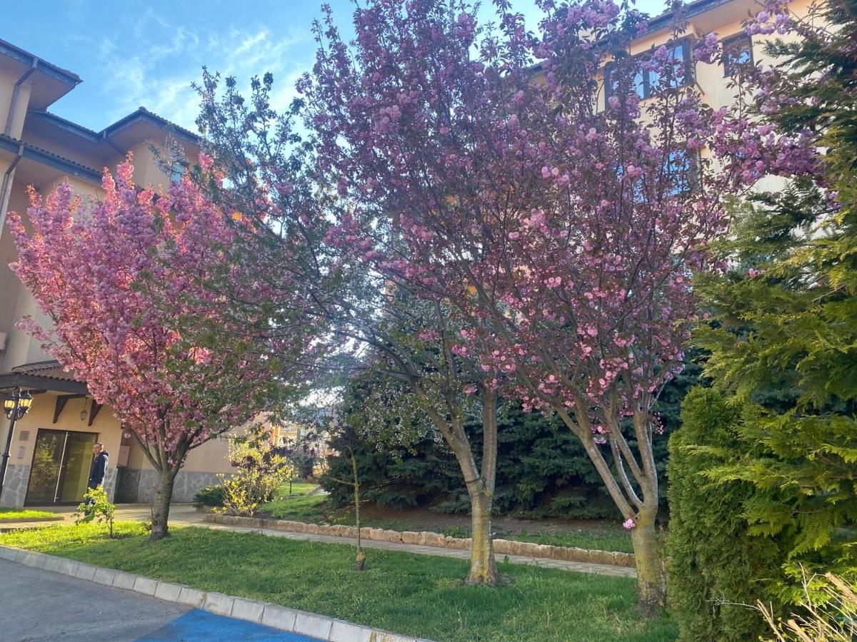59 Kaliakria Seaview Luxury Apartment Topola Buitenkant foto